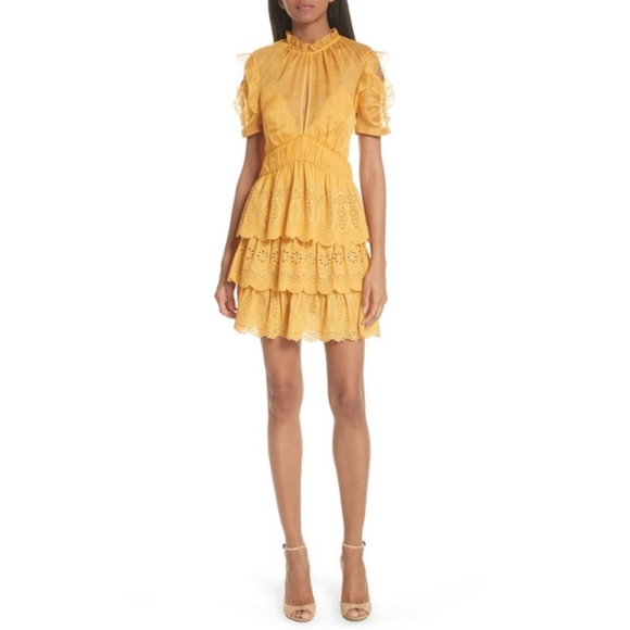 Self-Portrait NWOT Embroidered Chiffon Tiered Mini Dress In Gold Yellow Size 4 - Picture 10 of 16